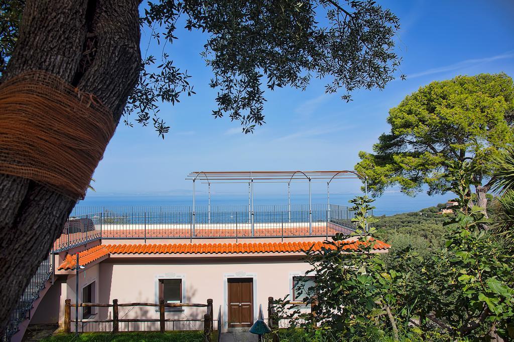 Villa Sabrina Relais 索伦托 外观 照片